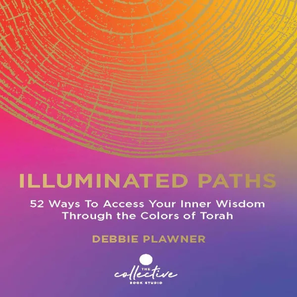 Cover of Illuminated Paths