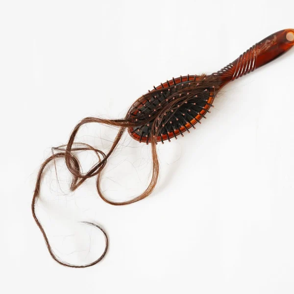 A hairbrush filled with hair.