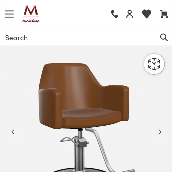 A salon chair