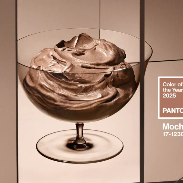 A dish of chocolate mousse.