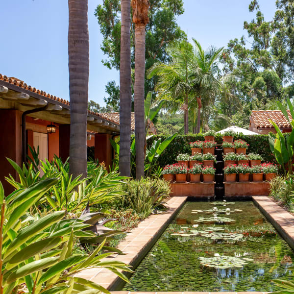 A water fountain surrounded by palm trees.