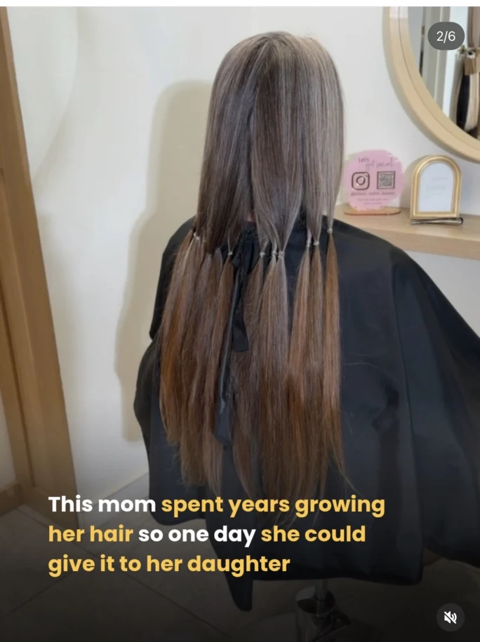 A woman in a salon chair, rear view, and her hair is sectioned into tiny ponytails