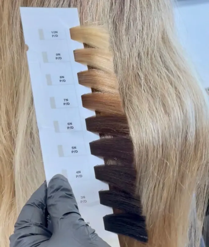 a hand holding hair swatches next to blonde hair