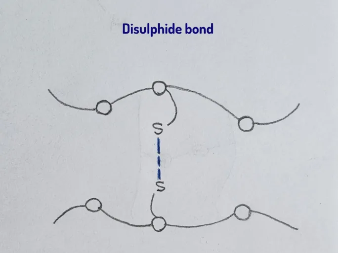 A drawing of chemical bonds