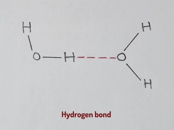A drawing of chemical bonds