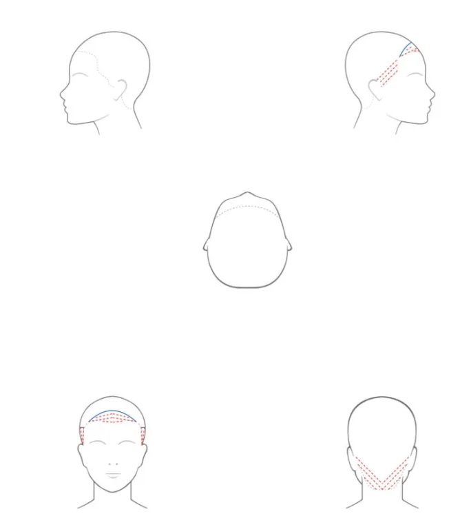 A graphic of how hair color is applied