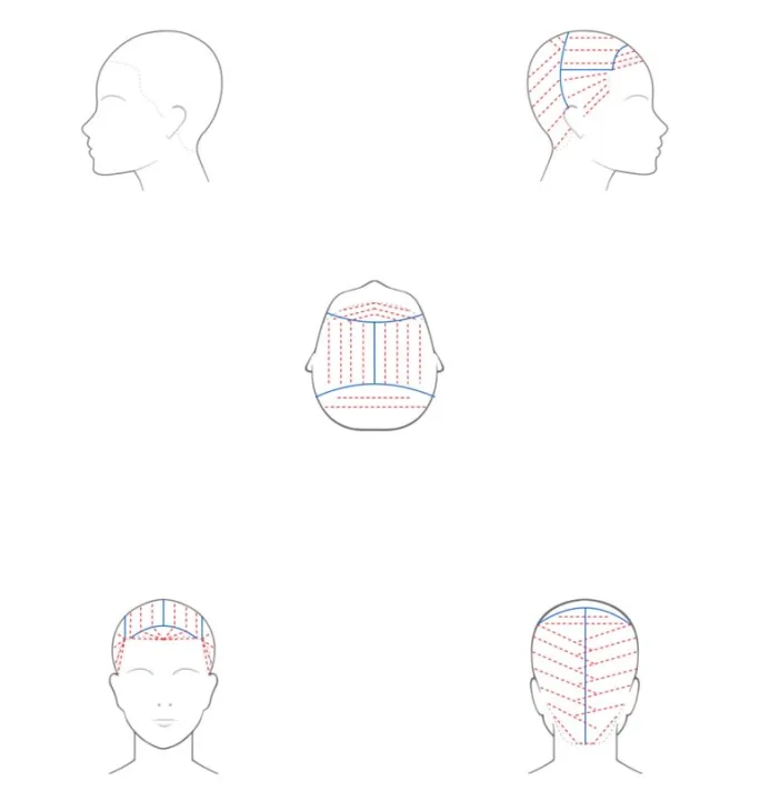 A graphic of heads showing hair color placement