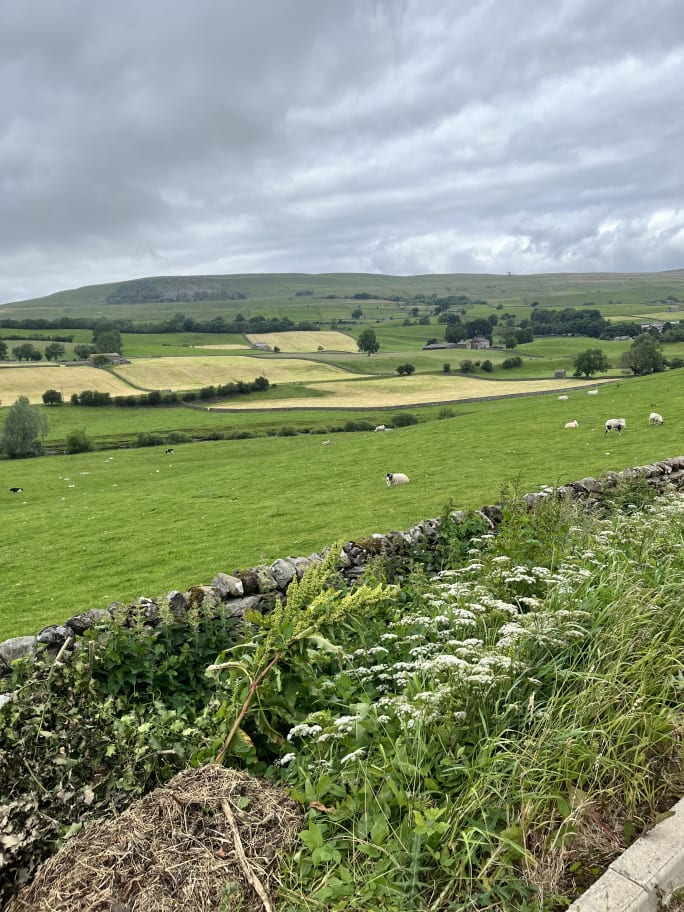 The beautiful Yorkshire Dales.