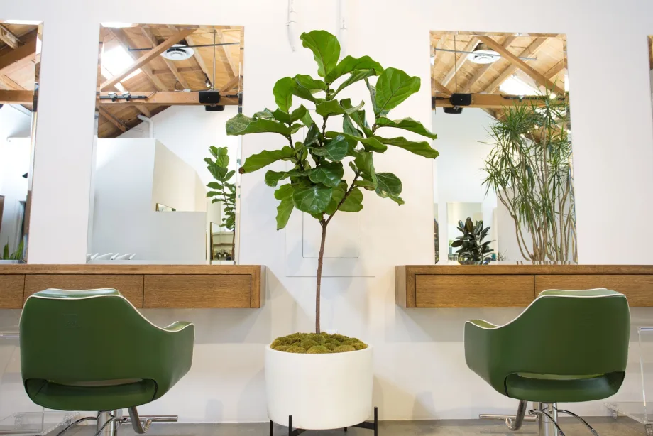 5 Salon Interior Design Trends to Energize Your Space