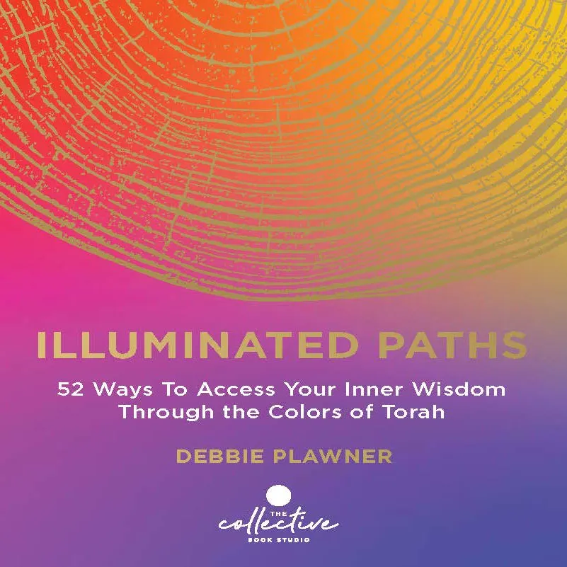 Cover of Illuminated Paths