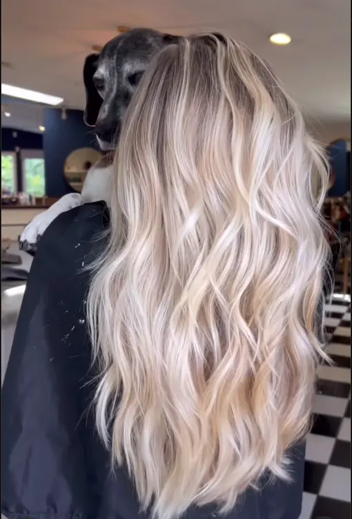 Better Bonds for Brighter Blondes
