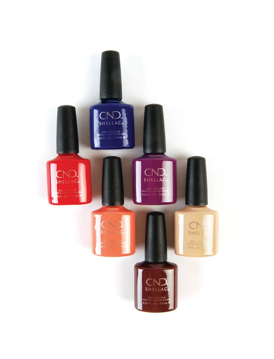 Wild Earth Collection