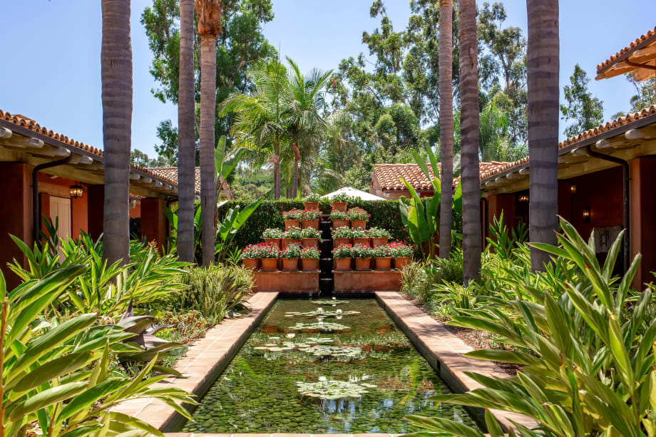 A water fountain surrounded by palm trees.