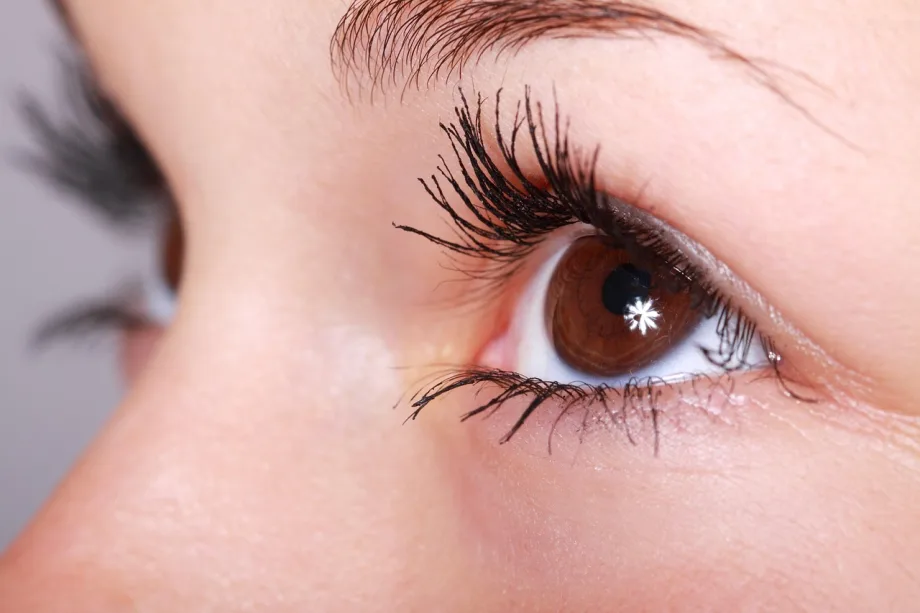 Eyelash Serum Market Size to Hit $1.46 Billion by 2032